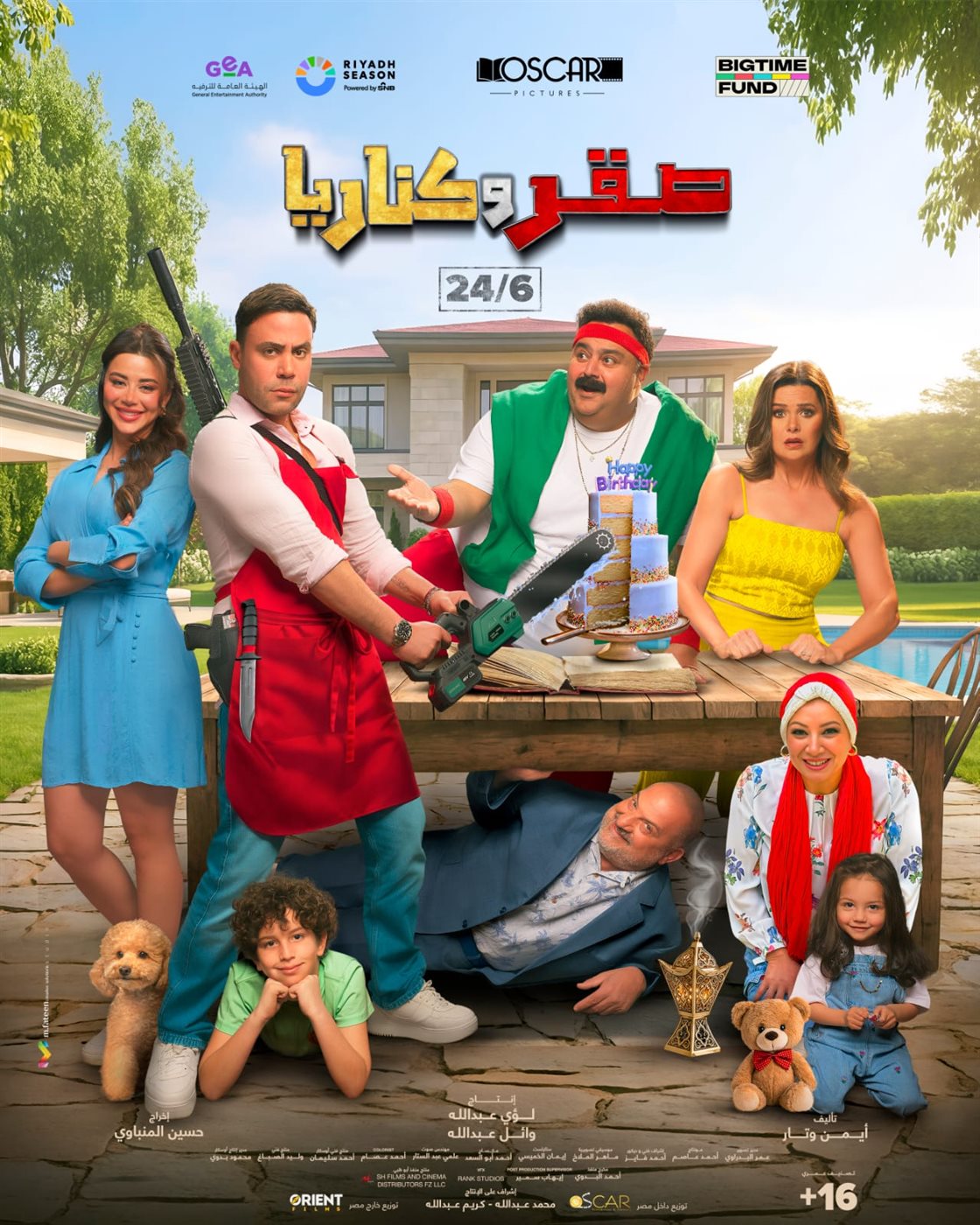 بوستر فيلم صقر وكناريا