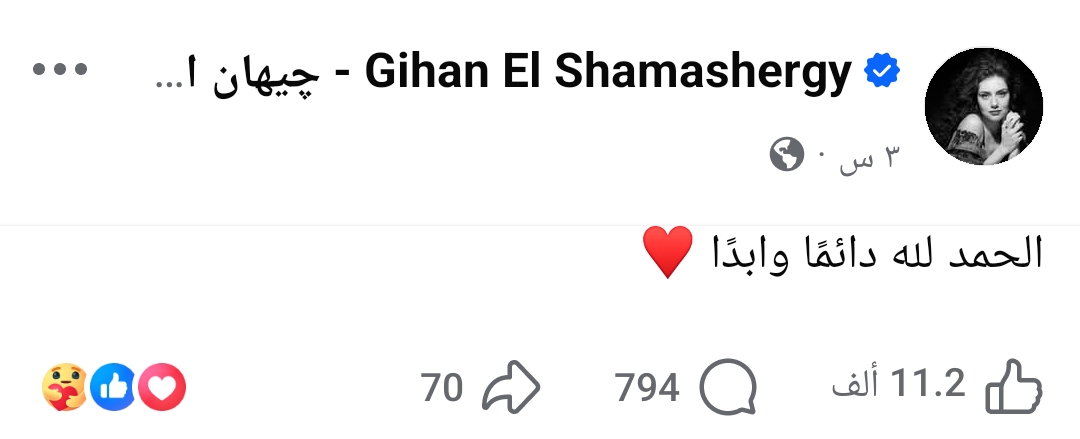 تعليق جيهان الشماشرجي&nbsp;