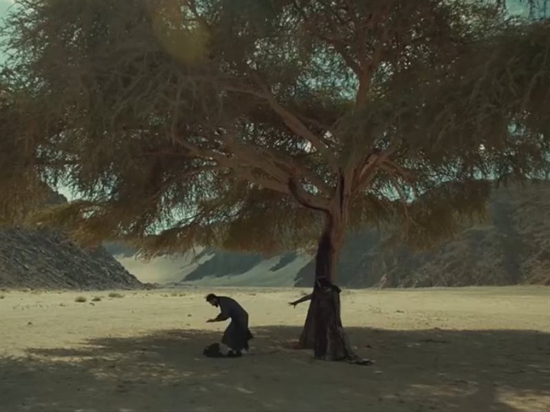 كارافان