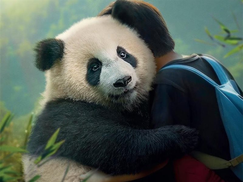 فيلم Moon the Panda