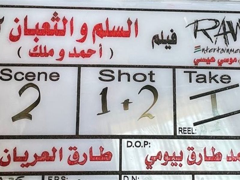 السلم والثعبان 2