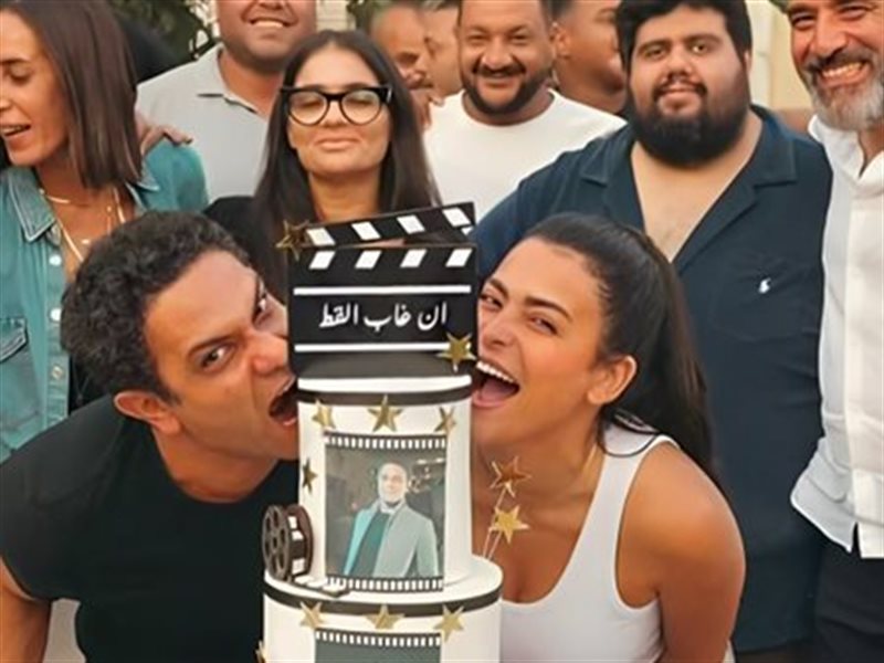 فيلم أن غاب القط