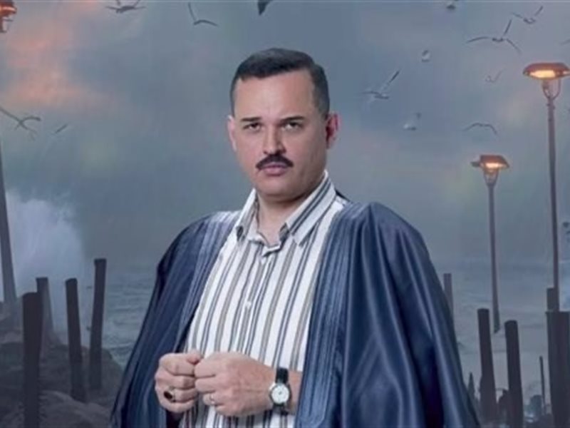 محمد محمود عبد العزيز