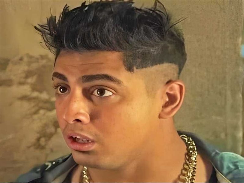 القبض على كروان مشاكل بتهمة نشر أخبار كاذبة وأفعال خادشة للحياء