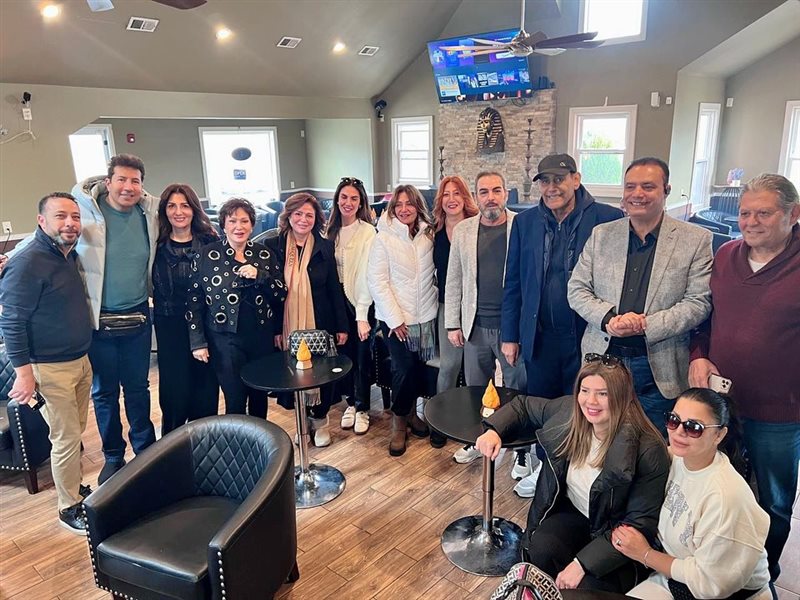 إلهام شاهين والفنانين المصريين