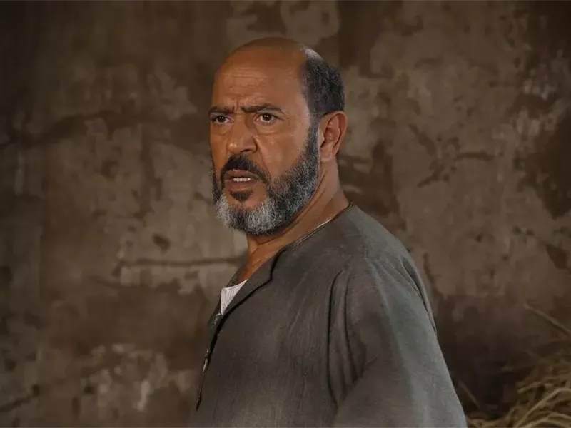 السادة الأفاضل 