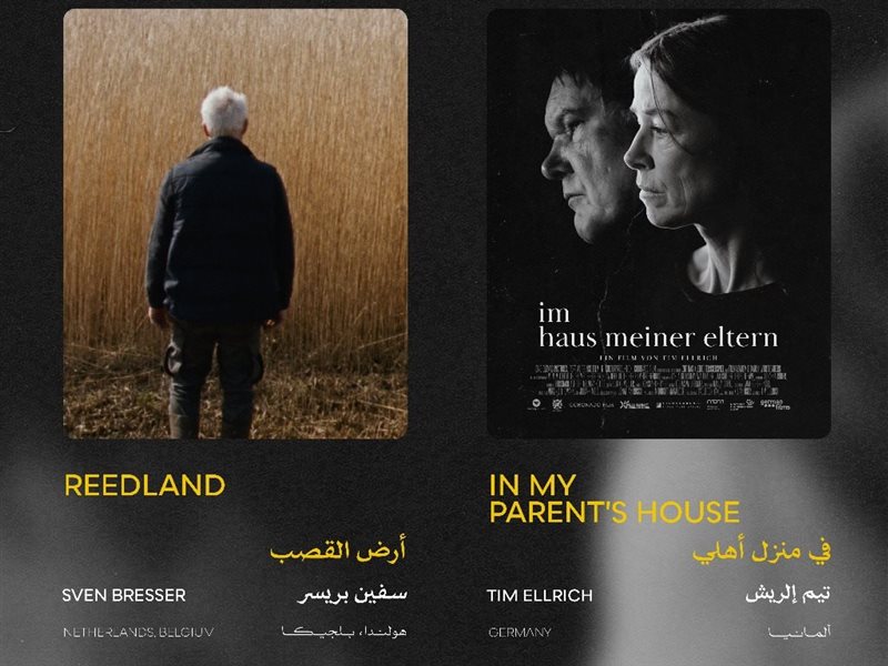 تعرف على القائمة النهائية لأفلام مسابقة أسبوع النقاد 