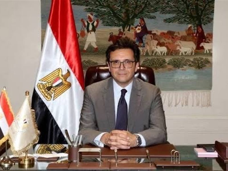 الدكتور أحمد هنو وزير الثقافة 