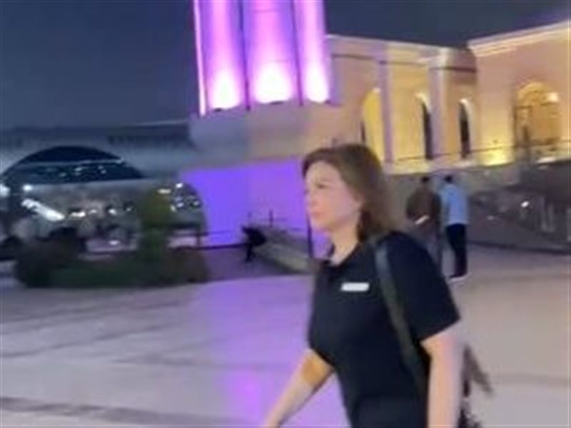 إلهام شاهين