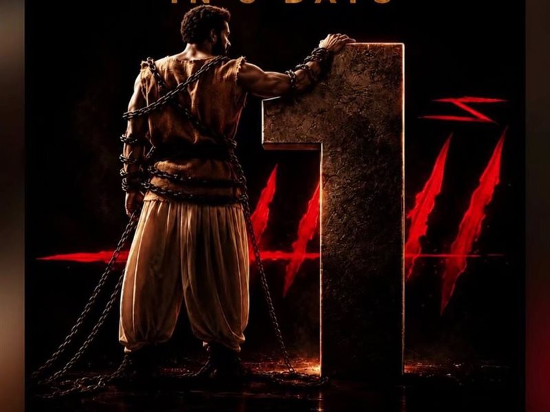 فيلم أسد