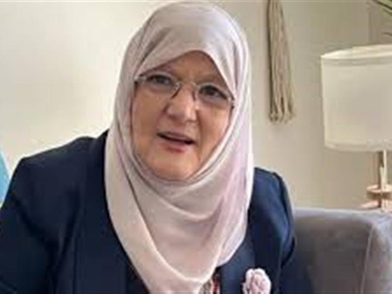 شمس البارودي