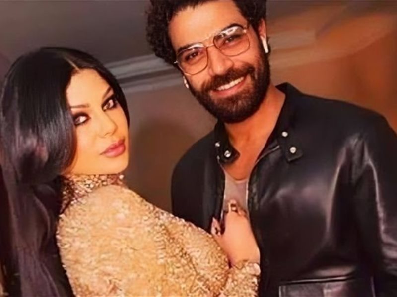 محمد وزيري وهيفاء وهبي
