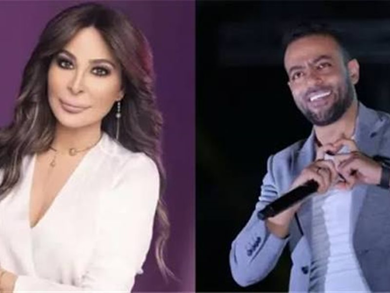 تامر عاشور وإليسا